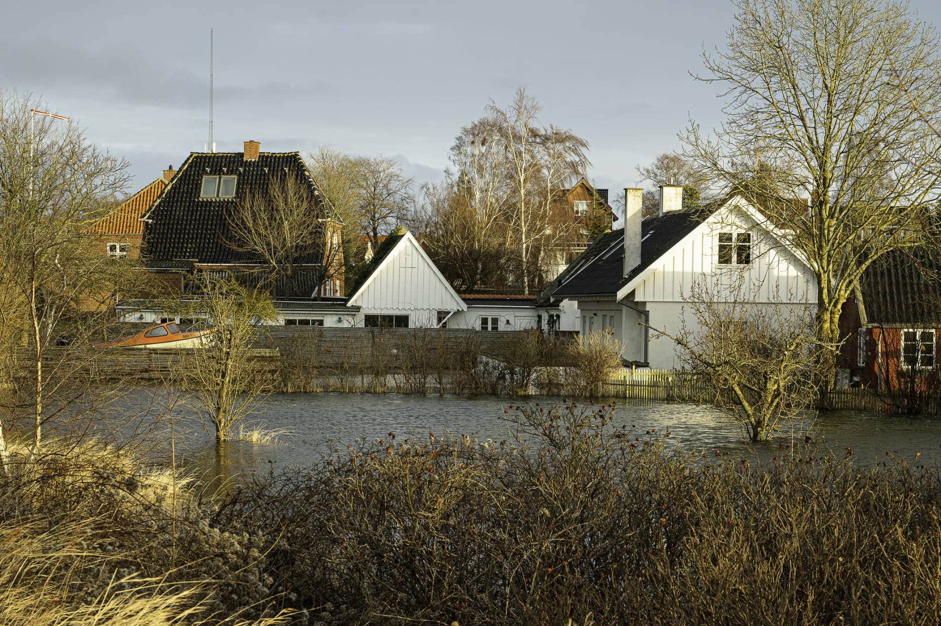 Fjord Danemark